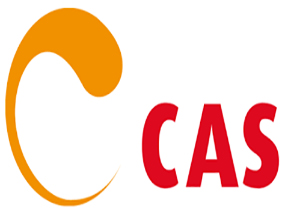 CAS - Chinese Arts Space
